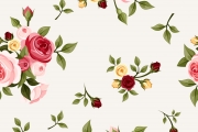 Rosevelour 12