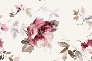 Rosevelour 47